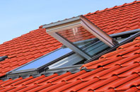 Cefn Y Bedd roof window